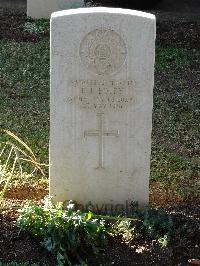 Salonika (Lembet Road) Military Cemetery - Foley, D J